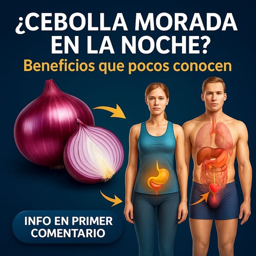 Cebolla Morada y Sus Beneficios