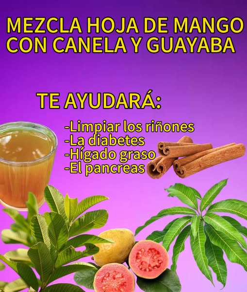 Bebida de hoja de mango canela y guayaba